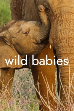 Watch Free Wild Babies HD Online on SFlix