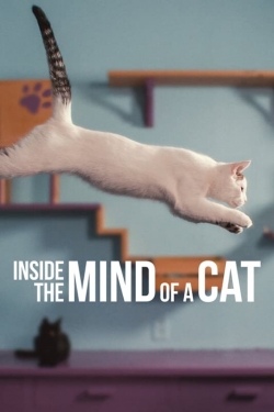 Watch Free Inside the Mind of a Cat HD Online on SFlix