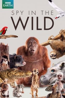 Watch Free Spy in the Wild HD Online on SFlix