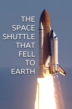 Watch Free The Space Shuttle That Fell to Earth HD Online on SFlix