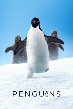 Watch Free Penguins HD Online on SFlix