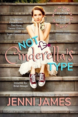 Watch Free Not Cinderella's Type HD Online on SFlix