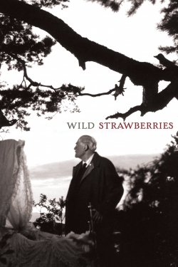 Watch Free Wild Strawberries HD Online on SFlix