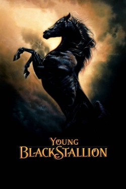 Watch Free Young Black Stallion HD Online on SFlix