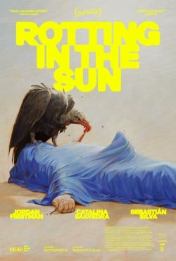 Watch Free Rotting in the Sun HD Online on SFlix