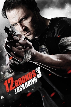 Watch Free 12 Rounds 3: Lockdown HD Online on SFlix