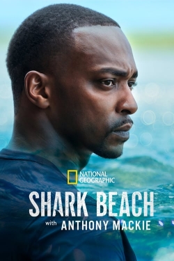 Watch Free Shark Beach with Anthony Mackie HD Online on SFlix