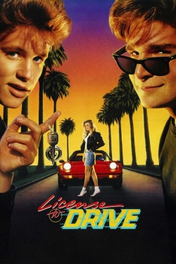 Watch Free License to Drive HD Online on SFlix