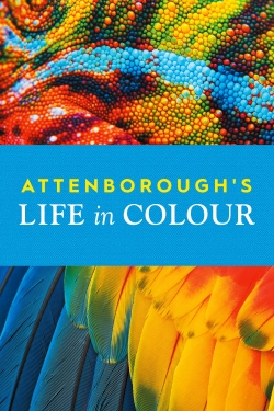 Watch Free Attenborough's Life in Colour HD Online on SFlix