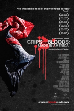 Watch Free Crips and Bloods: Made in America HD Online on SFlix