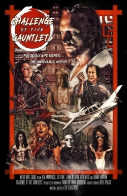 Watch Free Challenge of Five Gauntlets HD Online on SFlix