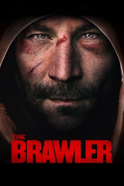 Watch Free The Brawler HD Online on SFlix