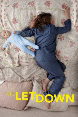 Watch Free The Letdown HD Online on SFlix