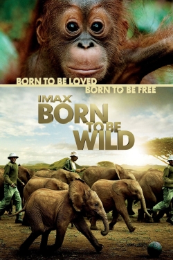 Watch Free Born to Be Wild HD Online on SFlix