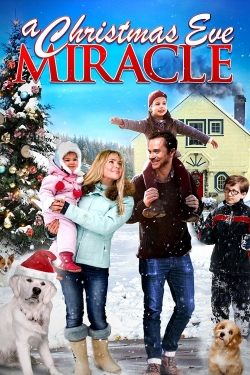 Watch Free A Christmas Eve Miracle HD Online on SFlix