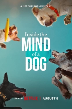 Watch Free Inside the Mind of a Dog HD Online on SFlix