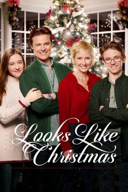 Watch Free Looks Like Christmas HD Online on SFlix