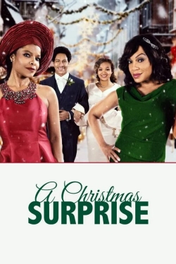 Watch Free A Christmas Surprise HD Online on SFlix