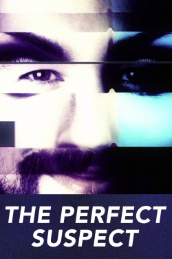 Watch Free The Perfect Suspect HD Online on SFlix