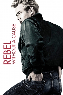 Watch Free Rebel Without a Cause HD Online on SFlix