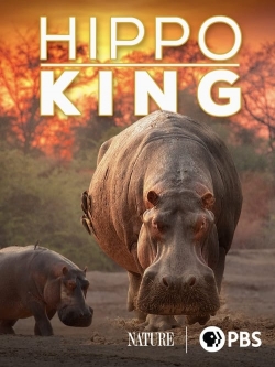 Watch Free Hippo King HD Online on SFlix