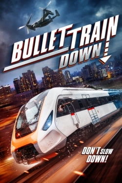 Watch Free Bullet Train Down HD Online on SFlix