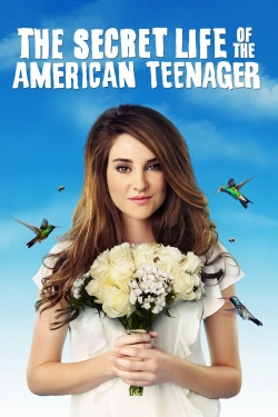 Watch Free The Secret Life of the American Teenager HD Online on SFlix