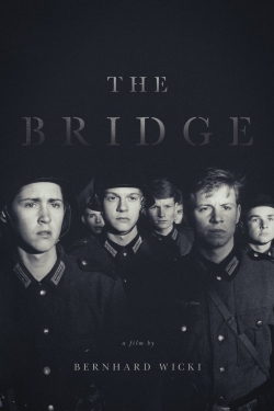 Watch Free The Bridge HD Online on SFlix