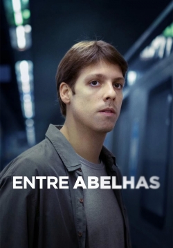 Watch Free Entre Abelhas HD Online on SFlix