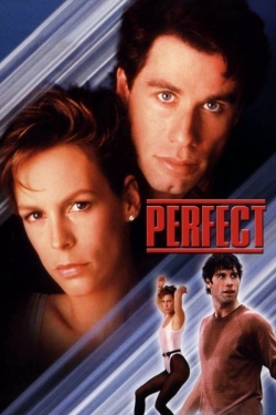 Watch Free Perfect HD Online on SFlix