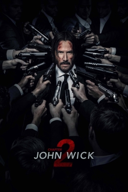 Watch Free John Wick: Chapter 2 HD Online on SFlix