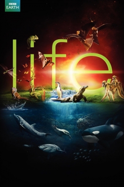 Watch Free Life HD Online on SFlix