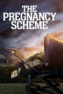 Watch Free The Pregnancy Scheme HD Online on SFlix