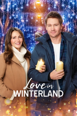 Watch Free Love in Winterland HD Online on SFlix