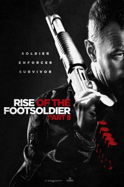 Watch Free Rise of the Footsoldier Part II HD Online on SFlix