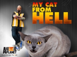 Watch Free My Cat from Hell HD Online on SFlix