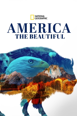 Watch Free America the Beautiful HD Online on SFlix