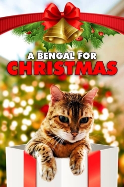 Watch Free A Bengal for Christmas HD Online on SFlix