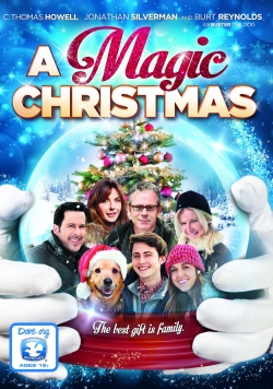 Watch Free A Magic Christmas HD Online on SFlix