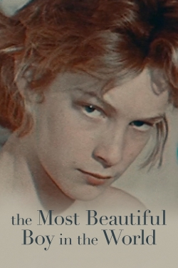 Watch Free The Most Beautiful Boy in the World HD Online on SFlix