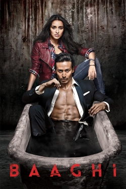 Watch Free Baaghi HD Online on SFlix