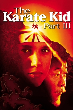 Watch Free The Karate Kid Part III HD Online on SFlix