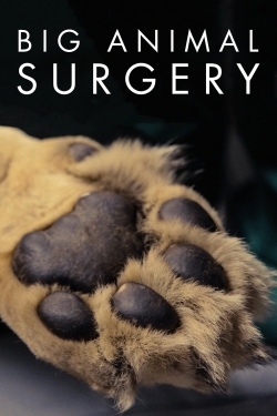 Watch Free Big Animal Surgery HD Online on SFlix