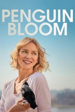 Watch Free Penguin Bloom HD Online on SFlix