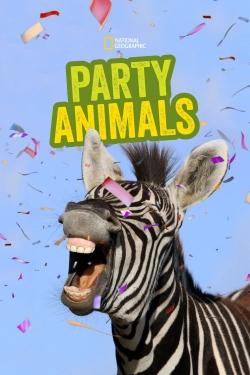 Watch Free Party Animals HD Online on SFlix