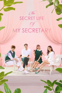 Watch Free The Secret Life of My Secretary HD Online on SFlix