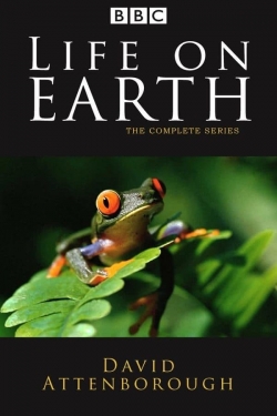 Watch Free Life on Earth HD Online on SFlix