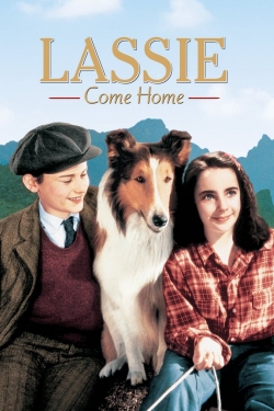 Watch Free Lassie Come Home HD Online on SFlix