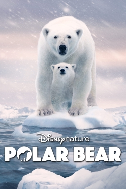 Watch Free Polar Bear HD Online on SFlix