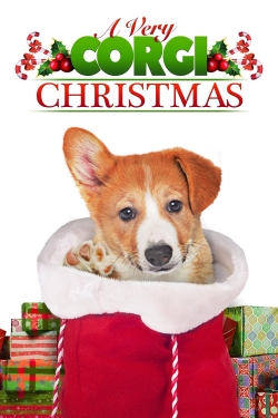 Watch Free A Very Corgi Christmas HD Online on SFlix